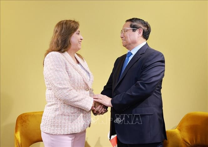 Thủ tướng Phạm Minh Chính gặp Tổng thống Peru Dina Ercilia Boluarte Zegarra. (Ảnh: Dương Giang/TTXVN)