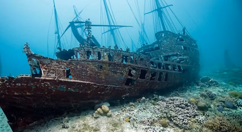 Thợ lặn không thể tin vào tuổi của một con tàu đắm mất tích. Ảnh: Marcoriveroph - Getty Images