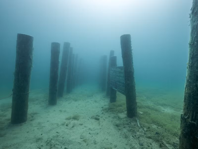 Những cọc gỗ được lập bản đồ.