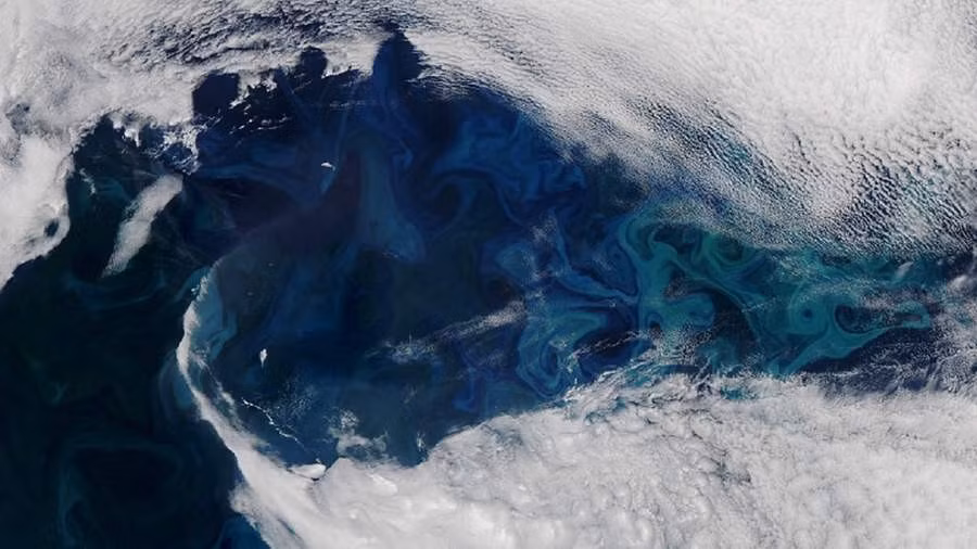 (Ảnh: Global Look Press/NASA Earth)