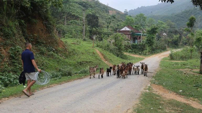 Thay đổi tư duy trong chăn nuôi giúp người dân nâng cao sản xuất, giảm nghèo. Ảnh: BNA