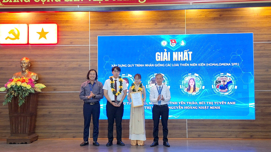3 đề tài đạt giải Nhất. z6627834669100-29b4c6d814d89de249fc63ef6c8bc2ed.jpg