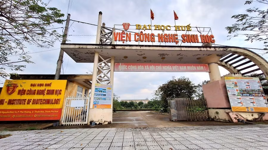 Viện Công nghệ sinh học, Đại học Huế. 