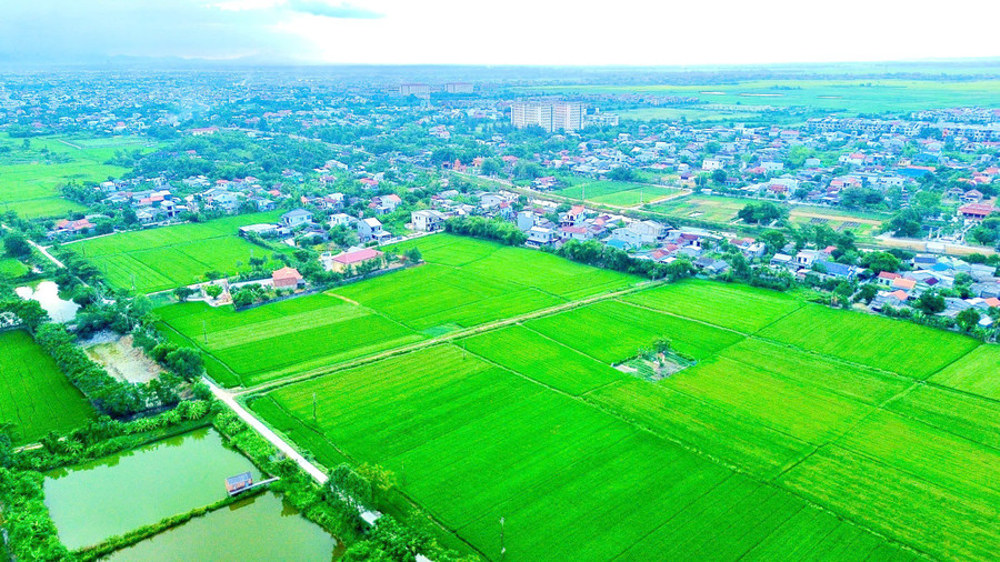 Ban QLDA Đầu tư xây dựng khu vực 1 sẽ khởi công thời gian tới các khu tái định cư phường Hóa Châu, khu tái định cư TĐC-06, khu dân cư OTT24, hạ tầng kỹ thuật OTT30, SN5, khu tái định cư CTR10. z6892032046702-17229aa44778e154575206f90581a0f9.jpg