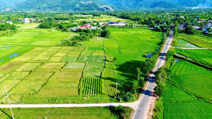 Khu vực quy hoạch xây dựng khu dân cư Phú Cường Xuyên (xã Chân Mây - Lăng Cô), 1 trong những khu vực do Ban Quản lý Khu kinh tế, công nghiệp TP Huế triển khai. z6892032066468-a8423cac5d5b5a30508270437e109506.jpg
