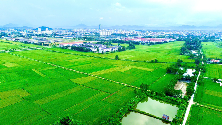 Một trong những vị trí chọn xây dựng khu tái định cư đường sắt cao tốc Bắc - Nam tại TP Huế.