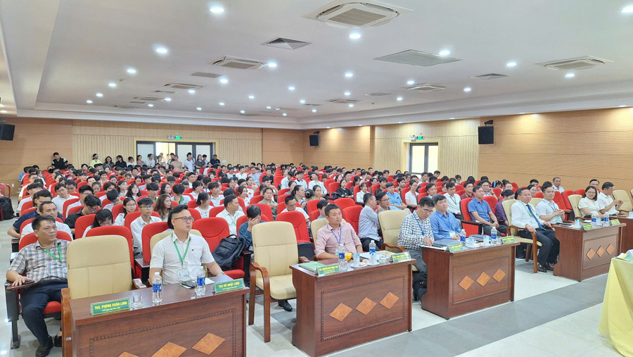 Ban giám khảo làm việc tích cực tại cuộc thi. z6613649321031-e7096a58915b84437711ba00afdaed96.jpg