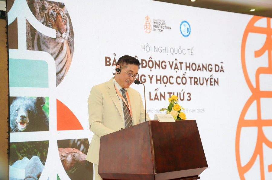 GS Lixing Lao, Hiệu trưởng Trường Đại học Y học tích hợp Virginia, Hoa Kỳ phát biểu tại hội nghị. gs-lixing-lao-hieu-truong-truong-dai-hoc-y-hoc-tich-hop-virginia-hoa-ky-phat-bieu-tai-hoi-nghi.jpg
