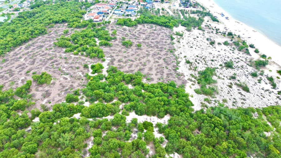 Hơn 3,1ha rừng gồm hơn 2,5ha là rừng phòng hộ và hơn 0,5ha là rừng sản xuất bị chặt phá. z6806133081137-630757d6332e197e8651da91947c77f6.jpg