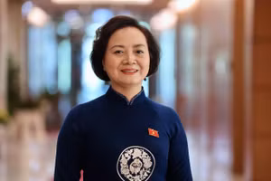 Infographic: Tiểu sử Phó Thủ tướng Chính phủ Phạm Thị Thanh Trà