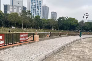 Hà Nội kiểm tra thông tin 'dùng cát đen làm bê tông' tại công viên Nghĩa Đô