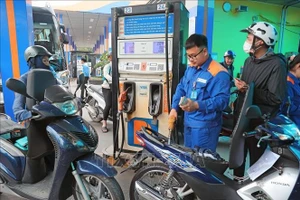 Thủ tướng chỉ thị tiết kiệm năng lượng, phát triển giao thông điện