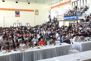 Dấu hiệu vi phạm trong lựa chọn tổ chức đấu giá ở Bắc Ninh: Cần xử lý dứt điểm