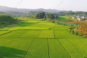 VCCI đề xuất giảm 30% tiền thuê đất năm 2025