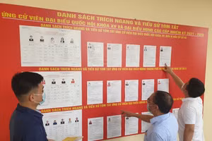 Infographic: 218 khu vực sẽ bỏ phiếu sớm