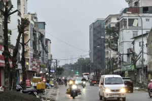 Khẩn trương chặt cây, xén hè tại điểm nóng Bến xe Nước Ngầm