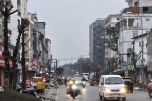 Khẩn trương chặt cây, xén hè tại điểm nóng Bến xe Nước Ngầm