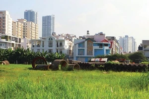Ảnh minh hoạ