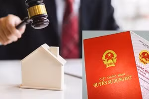 Hà Nội sẽ công khai người bỏ cọc đất đấu giá