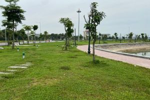 Dự án Xây dựng hồ điều hòa – công viên cây xanh tại thị trấn Lim. 