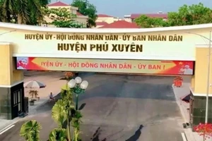 Vi phạm tại dự án 15 tỷ, Trưởng phòng Tài chính - Kế hoạch lấn đất công