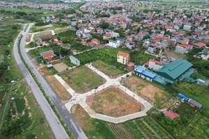 Ảnh minh hoạ