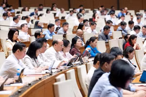 Các đại biểu tham dự phiên thảo luận