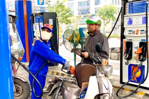 Giá xăng ngày 13/11 dự báo tiếp tục giảm thêm