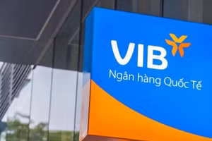 Ngân hàng Thương mại cổ phần Quốc tế Việt Nam (VIB) ghi nhận nợ có khả năng mất vốn tăng mạnh.
