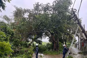 Cán bộ EVNHANOI lập tức đến hiện trường khắc phục hậu quả do thiên tai gây ra