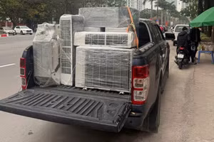 Hà Nội đề xuất bỏ hạn chế xe 'bán tải' vào nội đô theo giờ