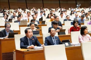 Các đại biểu Quốc hội tham gia phiên họp .