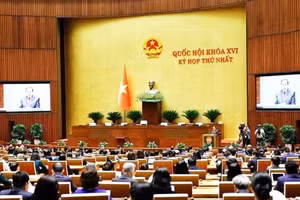 Kỳ họp thứ Nhất, Quốc hội khóa XVI