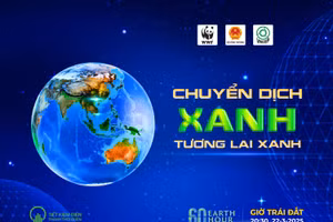 Chiến dịch Giờ Trái Đất 2025 lan tỏa thông điệp “Chuyển dịch xanh - Tương lai xanh”