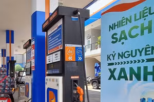 Người dân cần tiết kiệm năng lượng, ưu tiên sử dụng phương tiện giao thông "xanh".