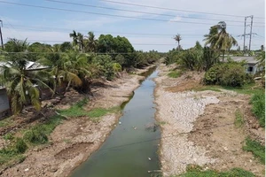 Xâm nhập mặn được dự báo sẽ đạt đỉnh vào giai đoạn 19/3 - 23/3 (Ảnh minh họa)