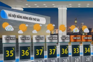 Dự báo thời tiết Thủ đô Hà Nội từ 28/7/2025 - 03/08/2025