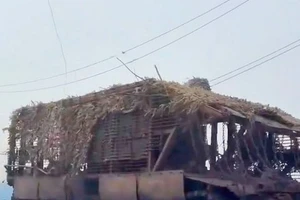 T-55 huyền thoại đã trở thành thiết giáp chở quân và cứu sống nhiều binh lính