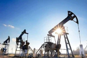 Chiến dịch tấn công chớp nhoáng của Mỹ đã làm sụp đổ giá dầu toàn cầu?