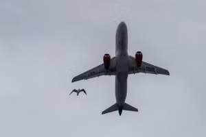 Động cơ của Superjet 100 đã được thử nghiệm va chạm đàn chim