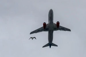 Động cơ của Superjet 100 đã được thử nghiệm va chạm đàn chim