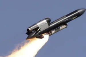 Tiết lộ sự thật về lần đầu tên lửa Flamingo tham chiến