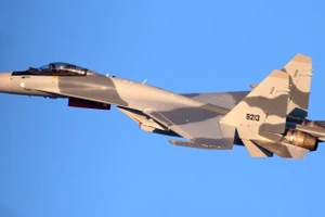 Tiêm kích Su-35 bắt đầu phục vụ trong Không quân Iran