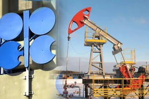 Kịch bản tệ nhất: OPEC phản ứng ra sao trước lời kêu gọi chống lại Mỹ của Iran?