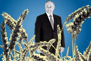 Nga quyết chấm dứt 'hành lang ngũ cốc' trên Biển Đen?