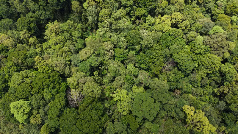dji-20260708111251-0617-d.jpg
