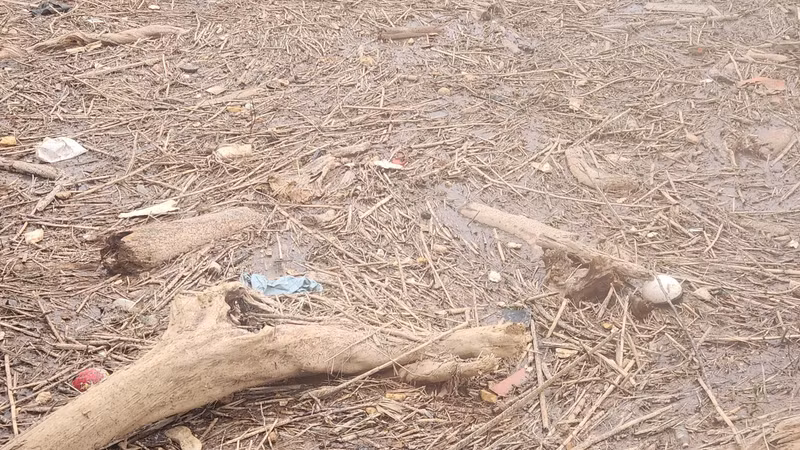 Hàng trăm tấn rác phủ kín cảng cá ở Hà Tĩnh