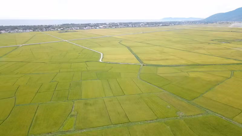 Chiêm ngưỡng cánh đồng lúa tuyệt đẹp ở Hà Tĩnh