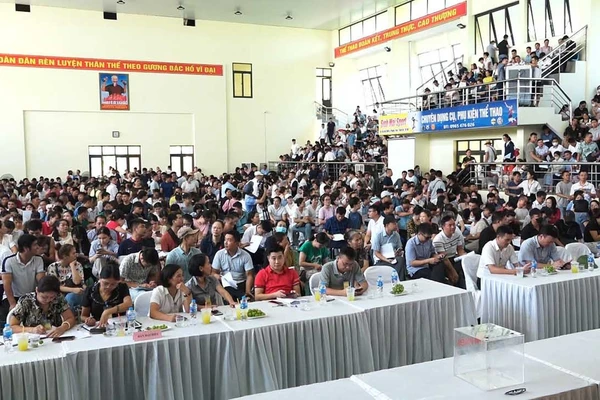 Dấu hiệu vi phạm trong lựa chọn tổ chức đấu giá ở Bắc Ninh: Cần xử lý dứt điểm