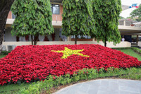 sao-vang-hcmute.jpg